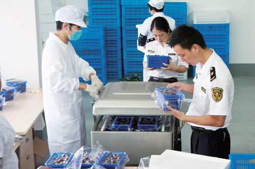科技賦能農(nóng)業(yè) 山東省博興縣以現(xiàn)代技術(shù)與計(jì)算機(jī)系統(tǒng)服務(wù)推動(dòng)農(nóng)業(yè)升級